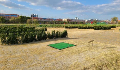 강릉파크골프장