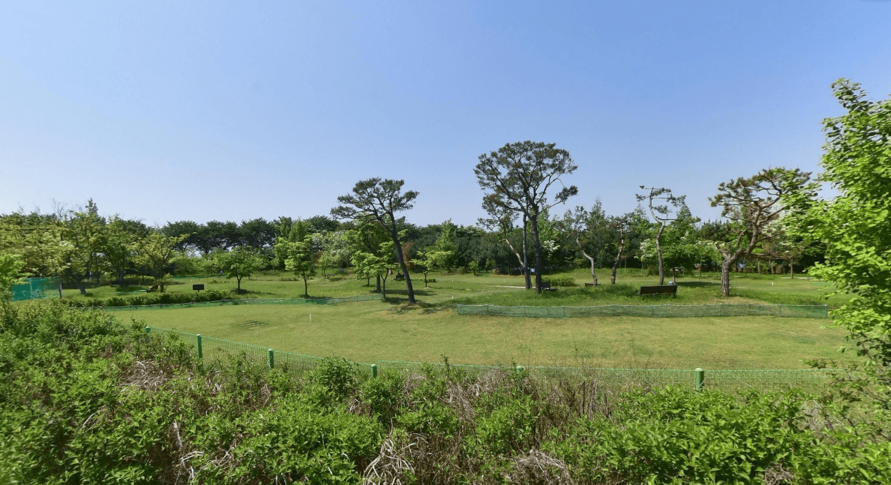 비비정파크골프장(금와파크골프장)