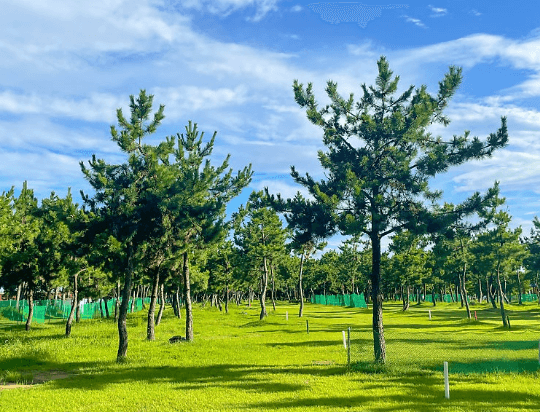 사암파크골프장