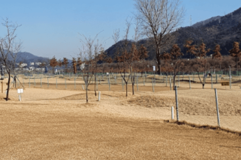 거창파크골프장(제2구장)